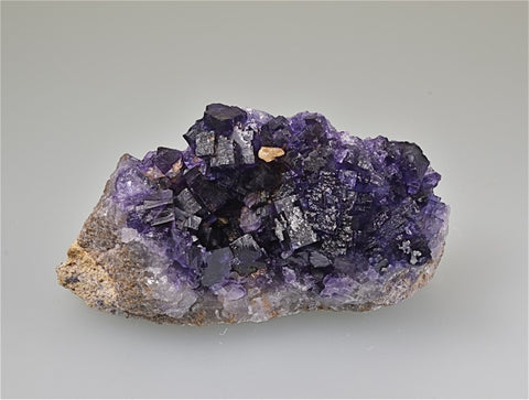 Fluorite, Rosiclare Level, Lead Hill, Cave-in-Rock Sub-district, Southern Illinois, Field Collected November 2018, Small Cabinet 3.0 cm x 5.2 cm x 11.0 cm, $125.  Online 8/15.