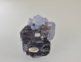 Fluorite and Galena, Sub-Rosiclare Level Annabel Lee Mine, Ozark-Mahoning Company, Harris Creek District Southern Illinois, Mined c. 1988, Holzner Collection #0587, Miniature 2.5 x 5.0 x 6.0 cm, $450.  Online  9/5.