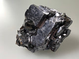 Galena with Sphalerite, Borieva Mine, Madan District, Bulgaria, Mined c. 2012, Miniature 4.0 x 6.0 x 6.2 cm, $25.  Online January 30.