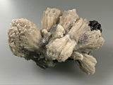 Calcite on Sphalerite, Borieva Mine, Madan District, Bulgaria, Mined c. 2012, Small Cabinet 5.3 x 6.3 x 9.2 cm, $85.  Online January 30.