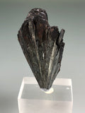 Pyrolusite, Taylor Mine, Alberta, Baraga County, Michigan, ex. Louis Lafayette Collection #218, Miniature, 1.8 x 3.2 x 6.5 cm, $125. Online July 20.