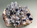 Azurite on Quartz, Sierra Rica attr., Chihuahua, Mexico, ex. Louis Lafayette Collection #783, Small Cabinet, 4.5 x 7.0 x 10.0cm, $125. Online July 20.