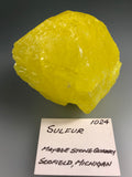 Sulfur, Maybee Stone Quarry, Scofield, Michigan, ex. Louis Lafayette Collection #1024, Small Cabinet, 4.5 x 6.0 x 6.5cm, $125. Online July 20.