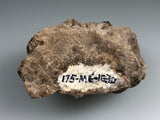 Fluorite, Auglaize Quarry, Junction, Ohio, ex. Collection #175-M6-1G30, ex. Louis Lafayette Collection, Miniature, 2.5 x 5.0 x 7.0cm, $150 . Online July 20.