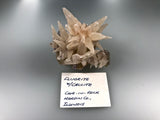 Calcite on Fluorite, Rosiclare Level attr., West Green Mine attr., Ozark-Mahoning Company attr., Cave-in-Rock District, Southern Illinois, ex. Louis Lafayette Collection, Small Cabinet 5.0 x 6.0 x 7.0 cm, $150. Online 10/9.