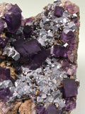 Fluorite with Galena and Sphalerite,  Denton Mine attr., Ozark-Mahoning Company attr., Harris Creek District attr., Southern Illinois, Ron Roberts Collection D-31, Small Cabinet 4.5 x 6.0 x 7.5 cm, $80.  Online September 14.