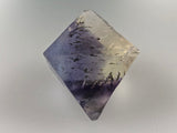 Fluorite Octahedron with Chalcopyrite, Rosiclare Level, Denton Mine, Ozark-Mahoning Company, Harris Creek District, Southern Illinois, Ron Roberts Collection, Miniature approx. 3 cm on edge, 4 cm point to point, $125.  Online September 15.