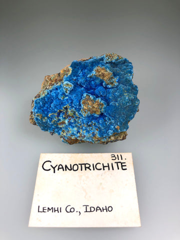 Cyanotrichite, Peacock Mine, Leadore District, Lemhi County, Idaho, ex. Louis Lafayette Collection #311, Miniature 1.5 x 4.5 x 5.0 cm, $125. Online 10/26.