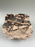 Fluorite, Auglaize Quarry, Junction, Ohio, ex. Louis Lafayette Collection, Small Cabinet 5.0 cm x 5.0 cm x 5.1 cm, $65.  Online Nov. 10.