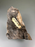 Fluorite, Auglaize Quarry, Junction, Ohio, ex. Museum 175-2E-R2-51, ex. Louis Lafayette Collection, Small Cabinet 1.8 cm x 6.0 cm x 8.0 cm, $150.  Online Nov. 10.