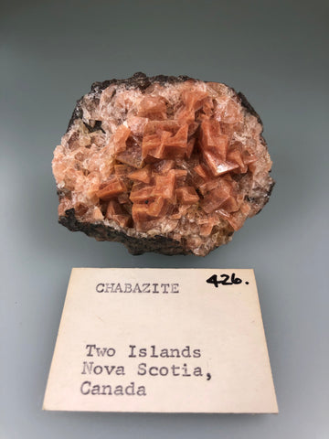Chabazite, Two Islands, Cumberland County, Nova Scotia, Canada, ex. Louis Lafayette Collection #426, Miniature 2.0 x 4.5 x 6.0 cm, $30. Online Nov. 25.