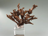 Copper, Champion Mine, Lake Superior Copper District, Houghton County, Michigan, ex. Louis Lafayette Collection, Miniature 2.0 x 3.0 x 3.2 cm, $125. Online 12/9