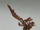 Copper, Lake Superior Copper District, Michigan, ex. Louis Lafayette Collection, Thumbnail 0.5 x 1.5 x 3.5 cm, $20. Online 12/17