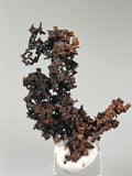 Copper, White Pine Mine, Lake Superior Copper District, Ontonogan County, Michigan, ex. Louis Lafayette Collection, Miniature 0.7 x 2.2 x 3.3 cm, $125. Online 12/17