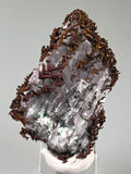 Copper, White Pine Mine, Lake Superior Copper District, Ontonogan County, Michigan, ex. Louis Lafayette Collection, Thumbnail 1.5 x 1.5 x 3.0 cm, $15. Online 12/17