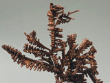 Copper, Champion Mine, Lake Superior Copper District, Houghton County, Michigan, ex. Louis Lafayette Collection, Miniature 0.8 x 3.5 x 5.0 cm, $350. Online 12/17