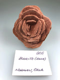 Barite (Rose), Norman, Oklahoma, ex. Louis Lafayette Collection #805, Small Cabinet 3.0 x 6.5 x 7.0 cm, $125. Online Jan. 13