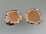 Datolite (Pair), Lake Superior Copper District, Keweenaw Peninsula, Michigan, ex. Jim Bailey Collection, Miniature 1.5 cm x 1.5 cm, $30.  Online June 22