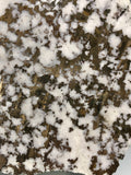Mohawkite "Snowflake", Mohawk Mine, Lake Superior Copper District, Keweenaw County, Michigan, ex. Jim Bailey Collection, Medium Cabinet 3.0 cm x 9.0 x 10.0 cm, $125.  Online July 15
