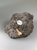 Datolite, Lake Superior Copper District, Keweenaw Peninsula, Michigan, ex. Jim Bailey Collection #203, Small Cabinet 7.0 cm x 8.5 cm, $90.  Online July 15
