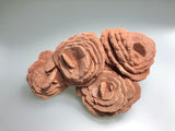 Barite (Rose), Norman, Oklahoma, Dr. David London Collection, Small Cabinet, 5.0 cm x 8.5 cm x 14.0 cm, $200.  Online Oct. 13.