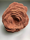 Barite (Rose), Norman, Oklahoma, Dr. David London Collection, Small Cabinet, 5.0 cm x 8.0 cm x 9.0 cm, $175.  Online Oct. 13.