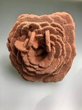 Barite (Rose), Norman, Oklahoma, Dr. David London Collection, Small Cabinet, 4.0 cm x 8.0 cm x 9.0 cm, $175.  Online Oct. 13.