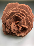 Barite (Rose), Norman, Oklahoma, Dr. David London Collection, Small Cabinet, 4.0 cm x 8.0 cm x 9.0 cm, $175.  Online Oct. 13.
