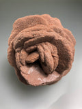 Barite (Rose), Norman, Oklahoma, Dr. David London Collection, Small Cabinet, 6.0 cm x 7.0 cm x 8.5 cm, $100.  Online Oct. 13.