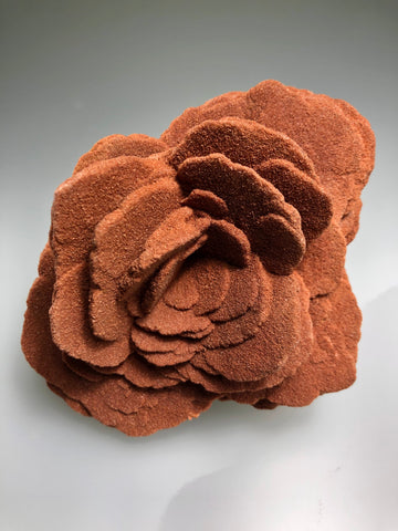 Barite (Rose), Norman, Oklahoma, Dr. David London Collection, Small Cabinet, 6.0 cm x 9.0 cm x 11.0 cm, $280.  Online Oct. 13.