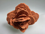 Barite (Rose), Norman, Oklahoma, Dr. David London Collection, Small Cabinet, 6.0 cm x 9.0 cm x 11.0 cm, $280.  Online Oct. 13.