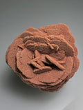 Barite (Rose), Norman, Oklahoma, Dr. David London Collection, Small Cabinet, 7.0 cm x 7.0 cm x 7.0 cm, $120.  Online Oct. 13.