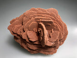 Barite (Rose), Norman, Oklahoma, Dr. David London Collection, Small Cabinet, 6.0 cm x 8.5 cm x 10.0 cm, $200.  Online Oct. 13.