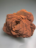 Barite (Rose), Norman, Oklahoma, Dr. David London Collection, Small Cabinet, 6.0 cm x 10.0 cm x 10.5 cm, $200.  Online Oct. 13.