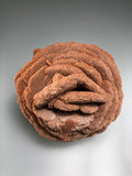 Barite (Rose), Norman, Oklahoma, Dr. David London Collection, Small Cabinet, 5.5 cm x 6.5 cm x 6.5 cm, $120.  Online Oct. 13.