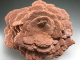 Barite (Rose), Norman, Oklahoma, Dr. David London Collection, Small Cabinet, 6.0 cm x 10.5 cm x 12.0 cm, $200.  Online Oct. 13.