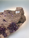 Fluorite and Sphalerite on Limestone, Hardin County, Southern Illinois, ex. Harry Brown (Joplin, MO) Collection David London Collection L-245, Medium Cabinet 8.0 cm x 11.0 cm x 15.5 cm, $850.  Online Nov 2.