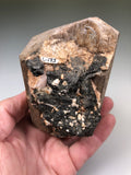 Scapolite; Diana, New York, Dr. David London Collection L-173, Medium Cabinet 7 x 7 x 11 cm, $350.  Online Sept.  30.