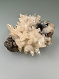 Calcite on Sphalerite, Rosiclare Level, Minerva No. 1 Mine, Ozark-Mahoning Company, Cave-in-Rock District, Southern Illinois, Mined c. 1992-1993, ex. Roy Smith Collection, Miniature, 3.0 x 5.0 x 6.5 cm, $125. Online Dec. 12.