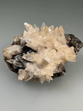 Calcite on Sphalerite, Rosiclare Level, Minerva No. 1 Mine, Ozark-Mahoning Company, Cave-in-Rock District, Southern Illinois, Mined c. 1992-1993, ex. Roy Smith Collection, Miniature, 3.0 x 5.0 x 6.5 cm, $125. Online Dec. 12.