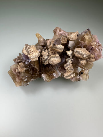 Calcite on Fluorite, Rosiclare Level, Minerva No. 1 Mine, Cave-in-Rock District, Southern Illinois, ex. Roy Smith Collection, Medium Cabinet 7.0 x 8.5 x 13.5 cm, $450. Online Dec. 14