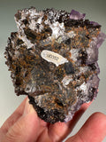 Fluorite on Sphalerite, Rosiclare Level, Minerva No. 1 Mine, Ozark-Mahoning Co., Cave-in-Rock District, Southern Illinois, Mined c. 1992-1993, ex. Sam and Ann Koster Collection #00352, Small Cabinet 5.5 x 7.0 x 10.5 cm, $500.  Online Dec. 19