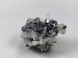 Quartz and Galena, Kruchev dol Mine, Madan District, Bulgaria, Mined c. 2012, Miniature 4.0 x 5.0 x 6.5 cm, $60. Online June 3.