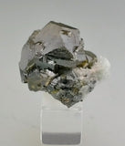 SOLD Sphalerite and Quartz, Mogila Mine, Madan District, Southern Rhodope Mountains, Bulgaria Miniature/TN 1.6 x 2.3 x 2.6 cm $85.