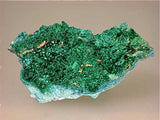 Chalcoalumite and Cyanotrichite with Brochantite, Grandview Mine, Coconino county, Arizona Miniature 3 x 4 x 7 cm  $65. Online July13. SOLD.
