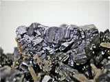 Galena and Sphalerite with Quartz, Kruchev dol Mine, Madan District, S outhern Rhodope Mountains, Bulga ria, Mined 2011, Small Cabinet 4.5  x 6.5 x 10.0 cm, $350.  Online 4/2 0/15 SOLD