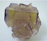 Fluorite, Sub-Rosiclare Level, Annabel Lee Mine, Ozark-Mahoning Company, Harris Creek District Southern Illinois, Mined November 1993, Sam & Ann Koster Collection #00427, Small Cabinet 5.5 x 6.0 x 7.0 cm, $500.  Online 3/4/15.  SOLD.