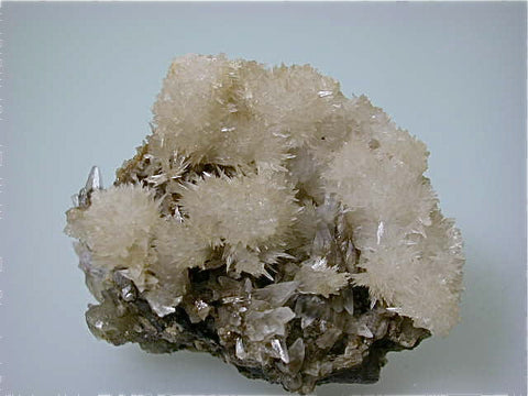 Strontianite and Calcite, Rosiclare Level Minerva #1 Mine, Minerva Oil Company,  Cave-in-Rock District Southern Illinois, Mined c. late 1970s, Dr. Perry & Anne Bynum Collection, Small Cabinet 4.0 x 7.0 x 8.0 cm, $100. Online 7/27 SOLD