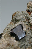 SOLD Cassiterite, Altenberg, Freiberg, Germany Miniature 2.5 x 4.5 x 5 cm $400. Online 1/4