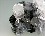 SOLD Calcite on Sphalerite, Trepca Complex, Mitrovica, Kosovo Miniature 2.5 x 3.5 x 4.5 cm $75. Online 1/17